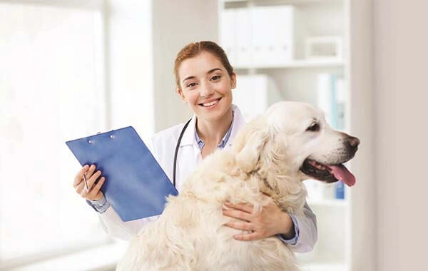 VETERINARY CARE